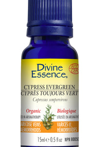 Cypress - Evergreen (Organic)