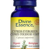 Cypress - Evergreen (Organic)