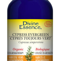 Cypress - Evergreen (Organic)