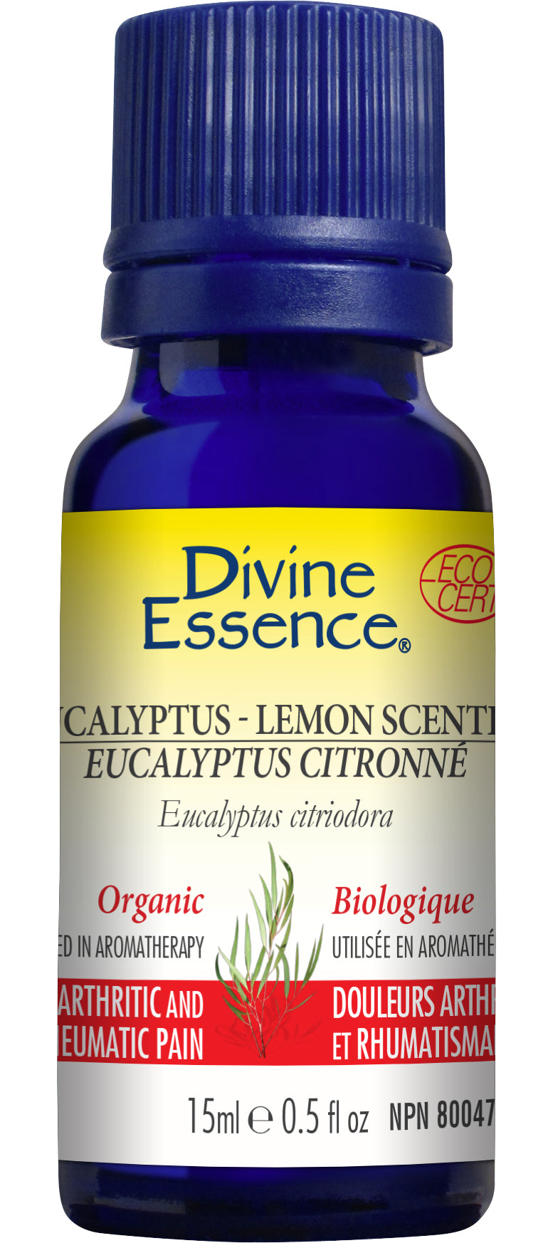 Eucalyptus Lemon-Scented (Org)