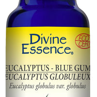 Eucalyptus - Blue Gum (Organic)
