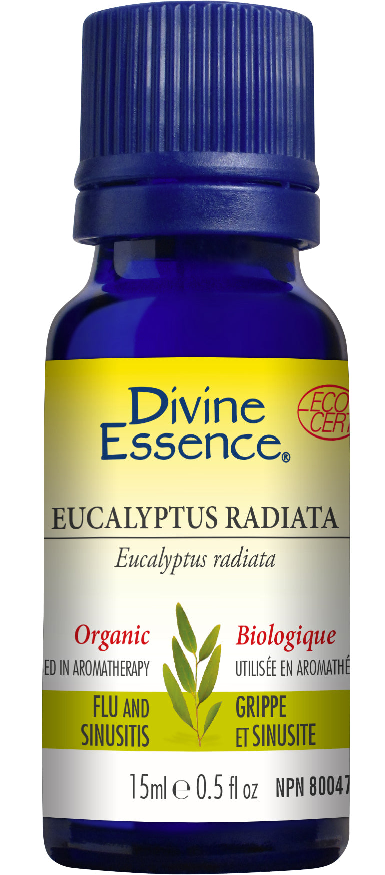 Eucalyptus Radiata (Organic)