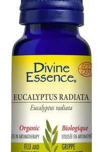 Eucalyptus Radiata (Organic)