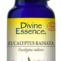 Eucalyptus Radiata (Organic)