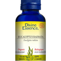 Eucalyptus Radiata (Organic)