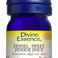 Fennel - Sweet (Organic)