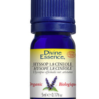 Hyssop 1.8 Cineole  (Organic)