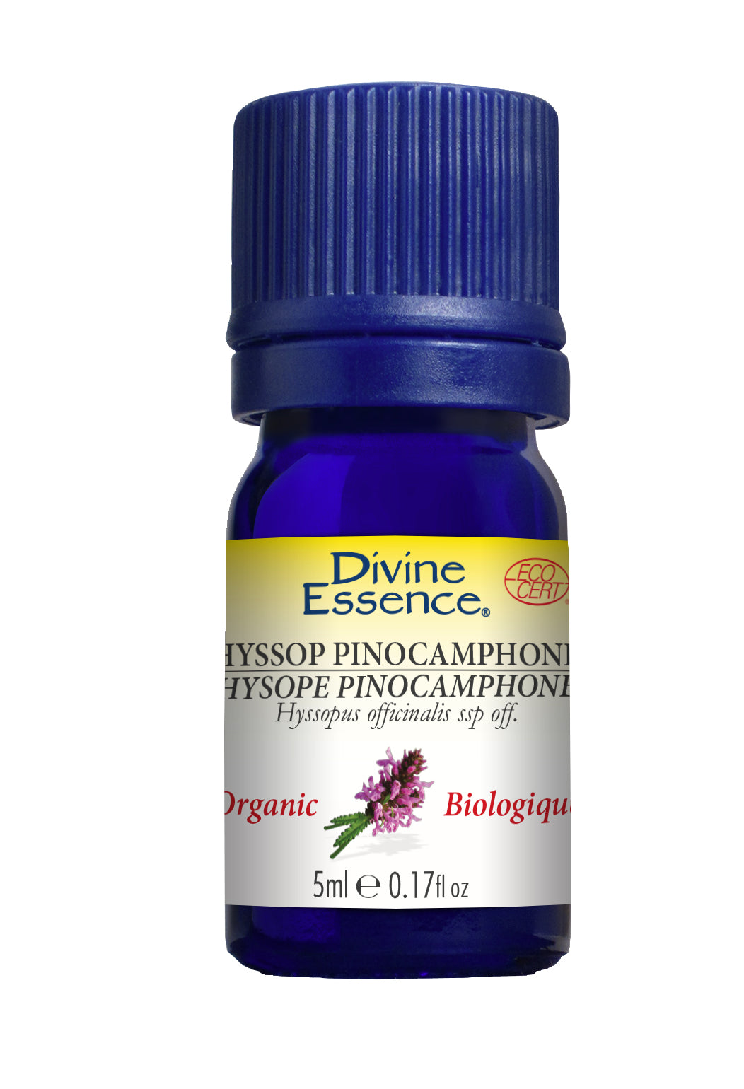 Hyssop Pinocamphone (Organic)