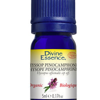 Hyssop Pinocamphone (Organic)
