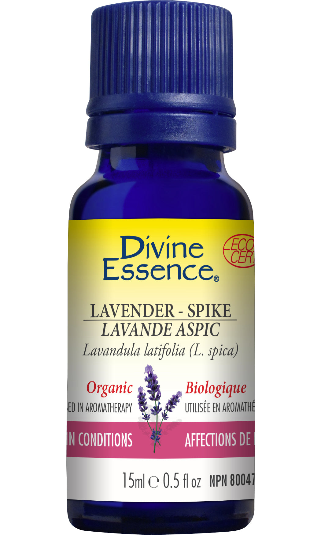 Lavender - Spike (Organic)