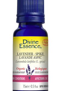 Lavender - Spike (Organic)