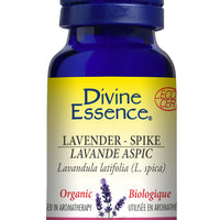 Lavender - Spike (Organic)