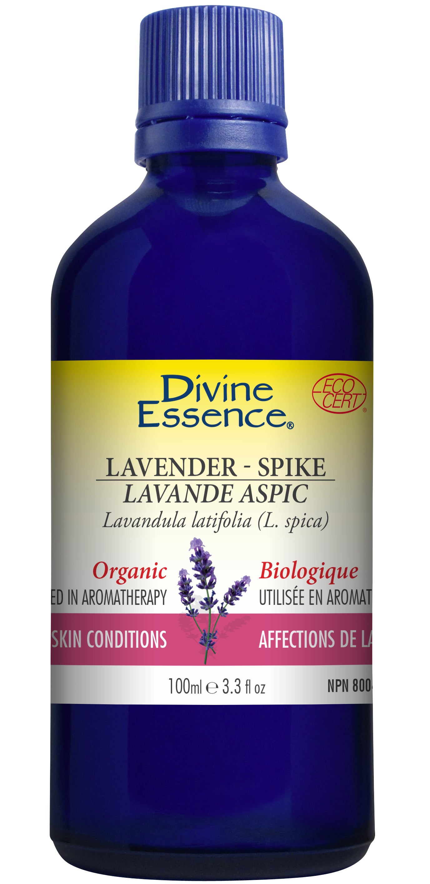 Lavender - Spike (Organic)