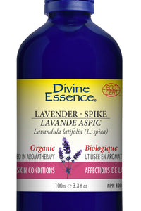 Lavender - Spike (Organic)