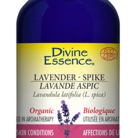 Lavender - Spike (Organic)