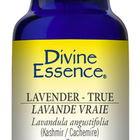 Lavender - True - Kashmir (Conv)