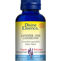 Lavender - Fine (Organic)