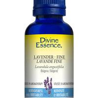 Lavender - Fine (Conventional)