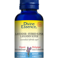 Lavender Hybrid Super (Organic)