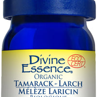 Larch Tamarack (Organic)