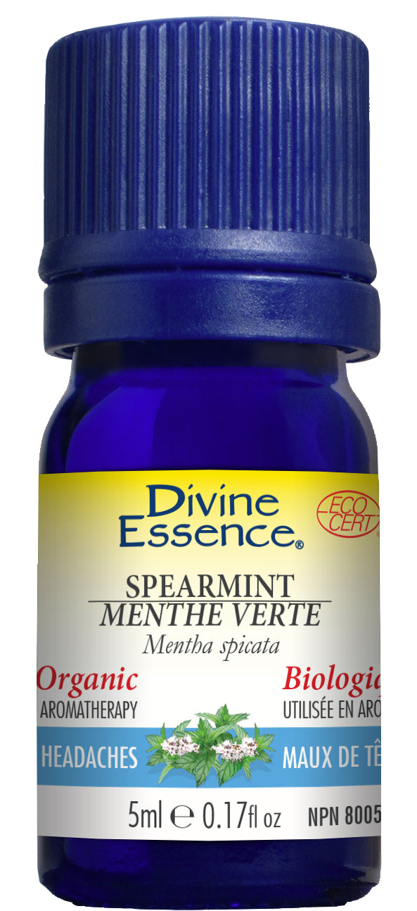 Spearmint (Organic)