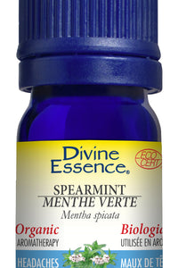 Spearmint (Organic)