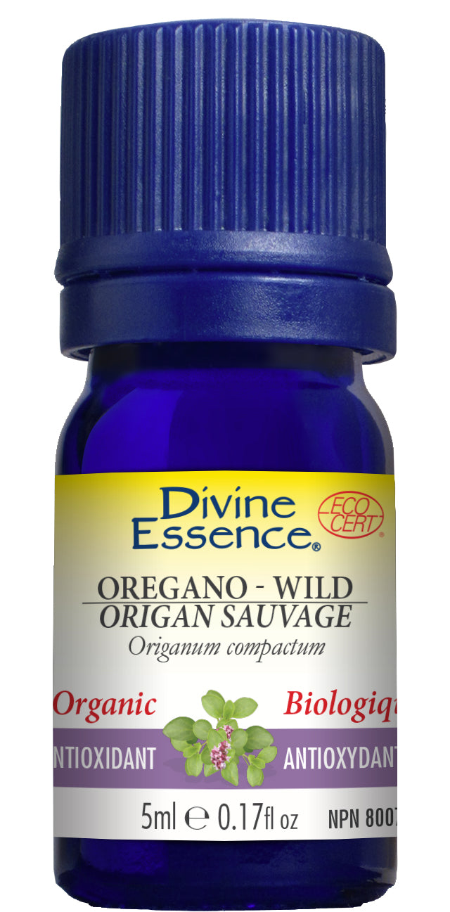 Oregano - Wild (Organic)