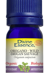 Oregano - Wild (Organic)