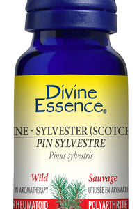 Pine Sylvestre (Scotch) (Wild)