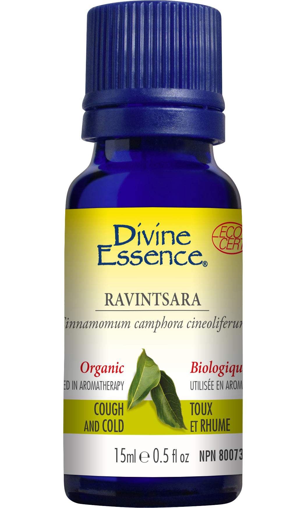 Ravintsara (Organic)