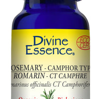 Rosemary - Camphor Type (Organic)