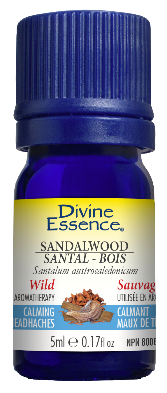 Sandalwood (South Pacific) (Wild)