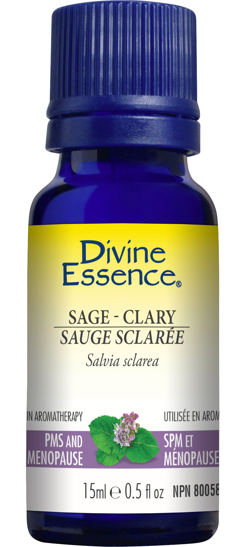 Clary Sage (Conventional)