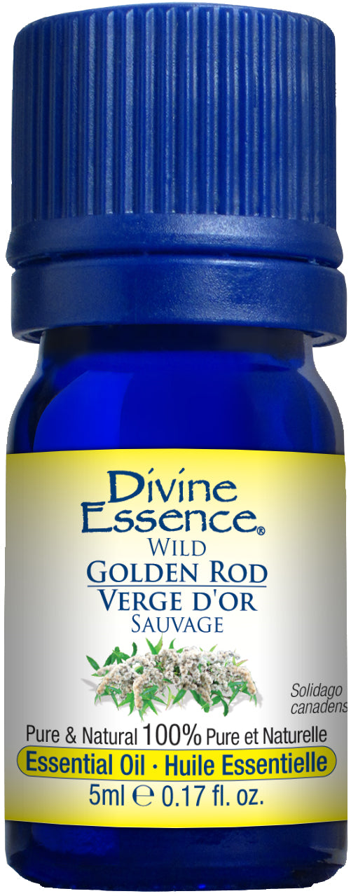 Golden Rod (Organic)