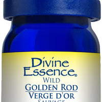 Golden Rod (Organic)