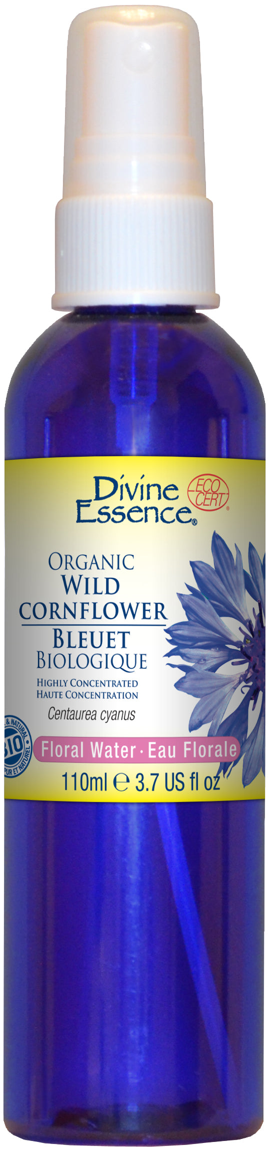 Wild Cornflower (Organic)