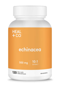 Echinacea (10:1 extract) 500mg