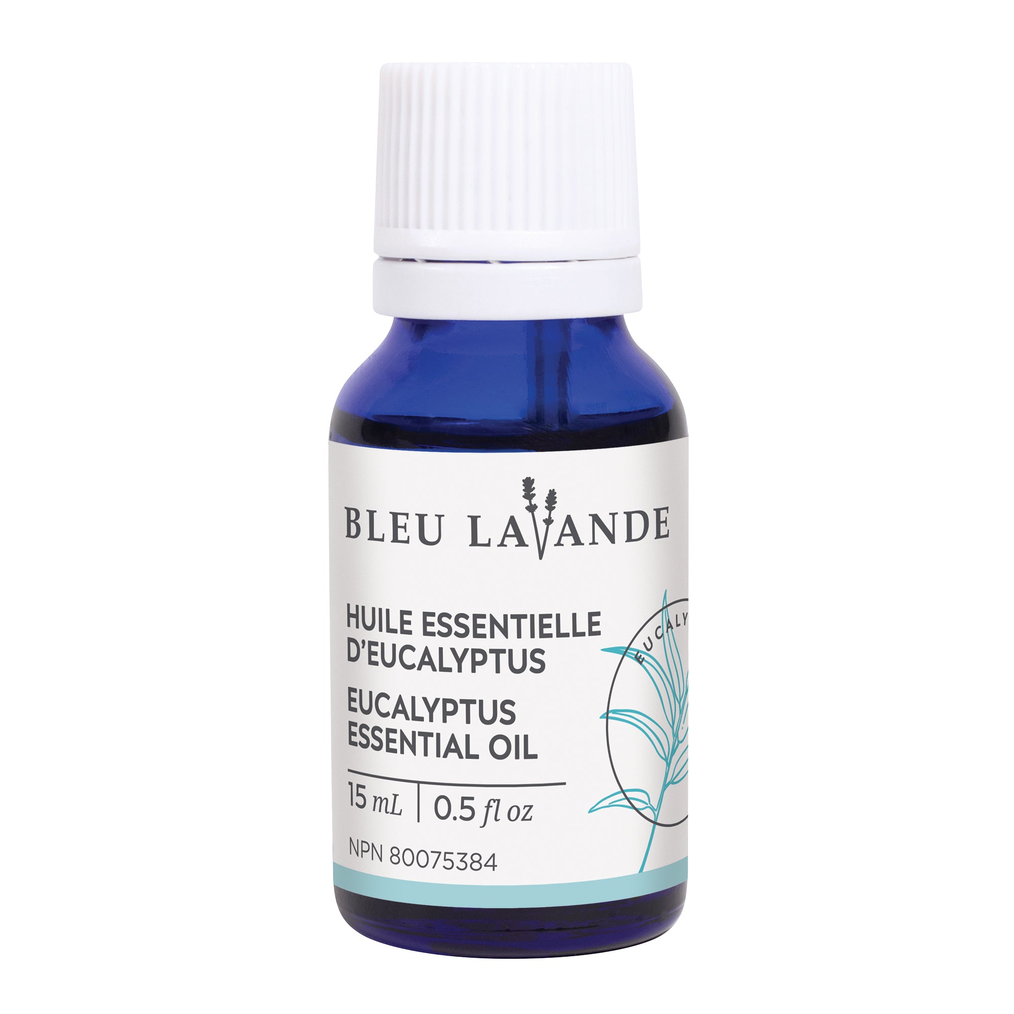 Eucalyptus Essential Oil