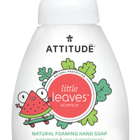 Foaming Hand Soap - Watermelon&Coco
