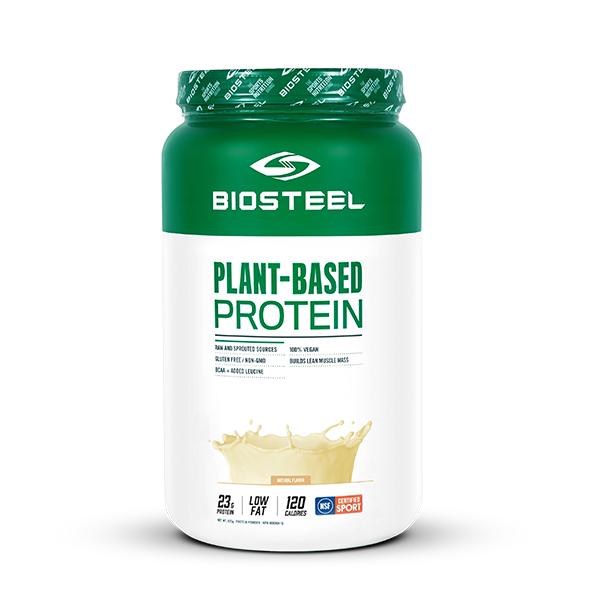 Plant Based Vegan Protein Natural