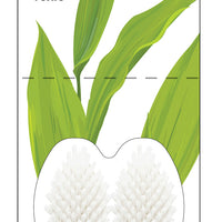 Replacement Head 2-Pack, Medium