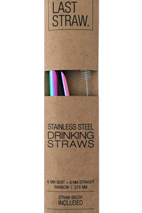 Stainless Straw Duo: Rainboww/brush