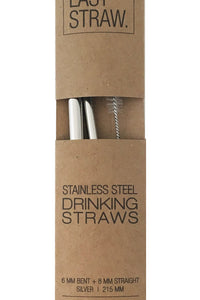 Stainless Straw Duo: Silver w/brush