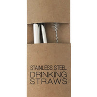 Stainless Straw Duo: Silver w/brush