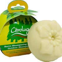 Shampoo Bar