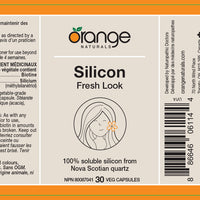 Silicon Fresh Look