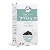 Sprouted Black Beans