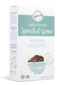 Sprouted Pinto Beans