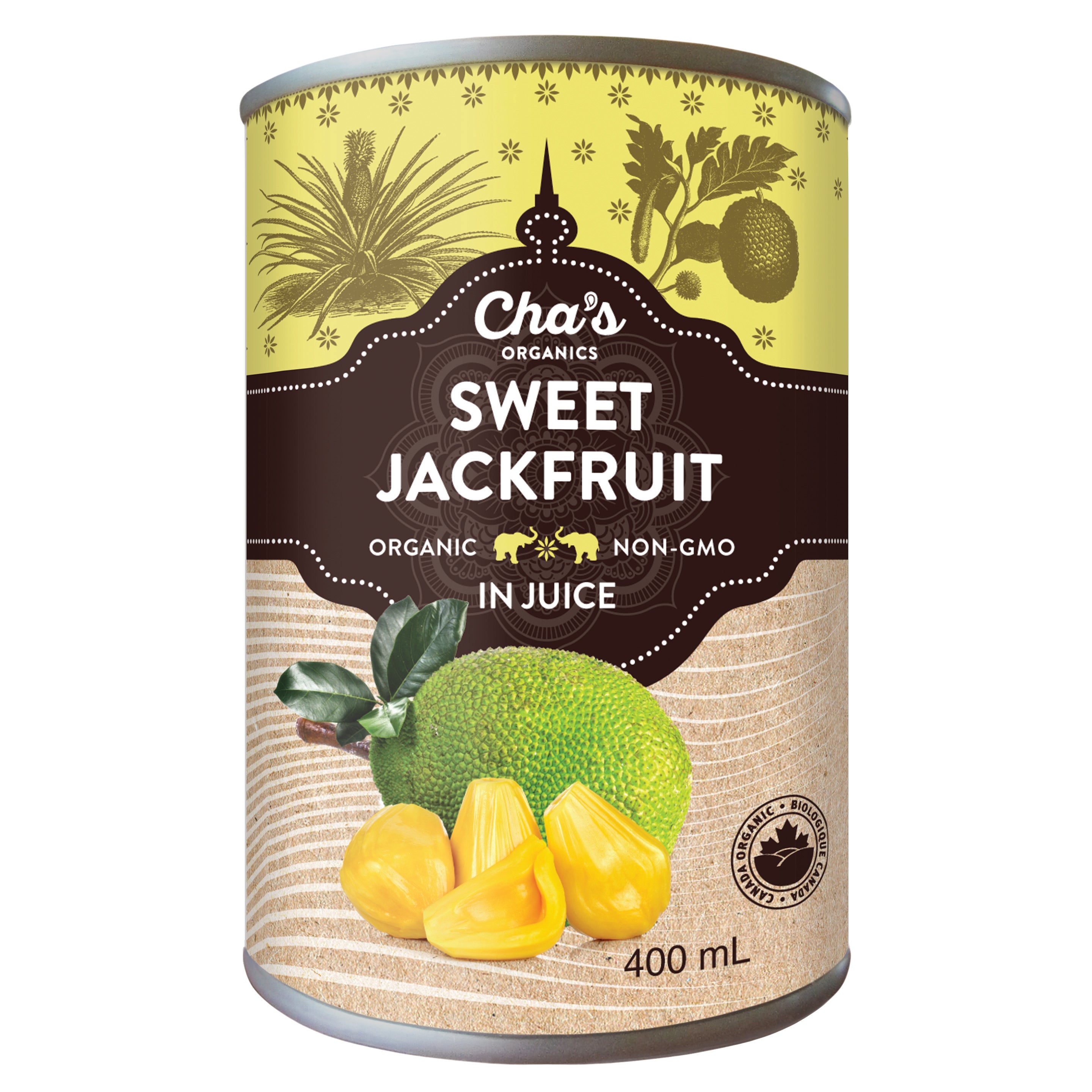 Sweet Jackfruit in juice