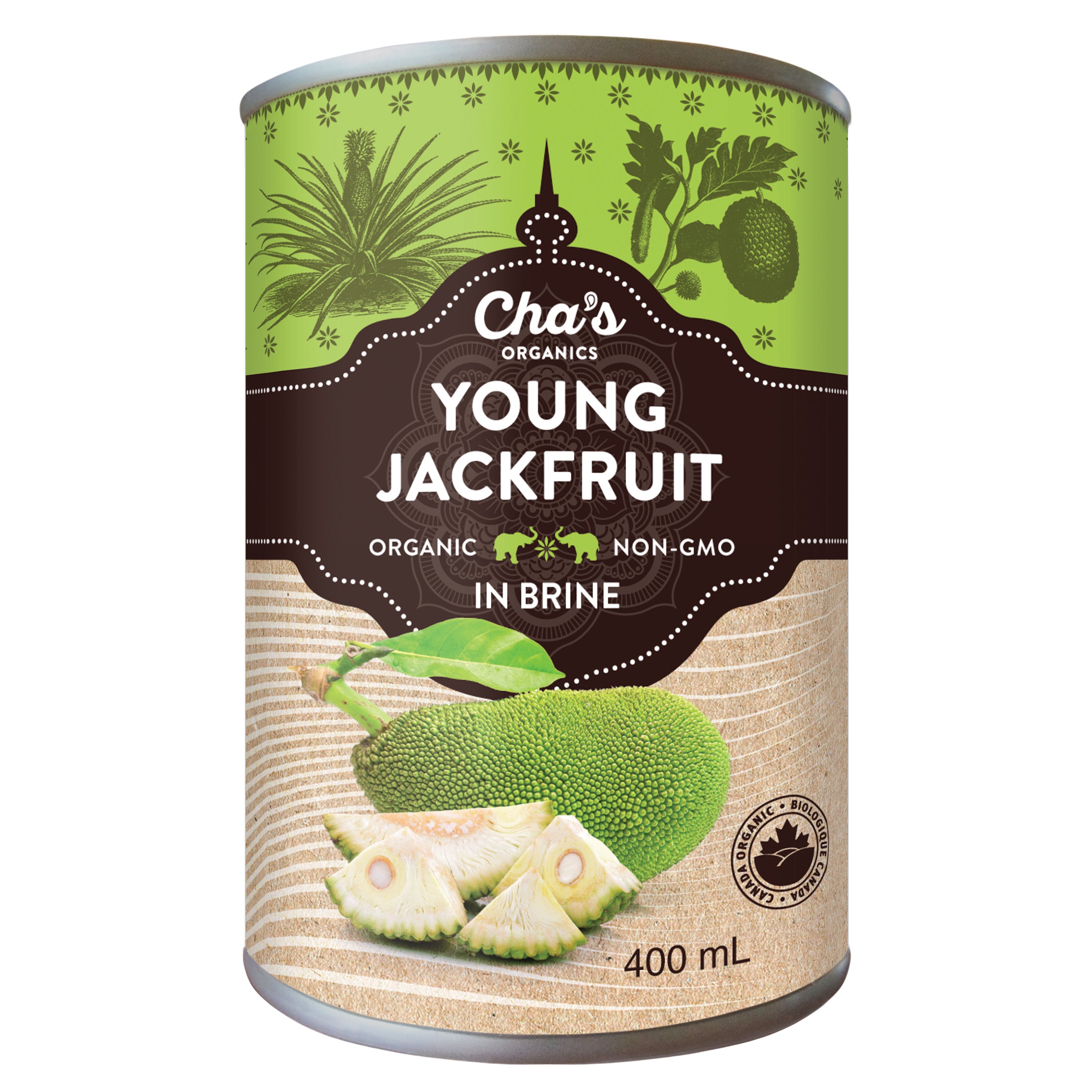 Young Jackfruit in Brine